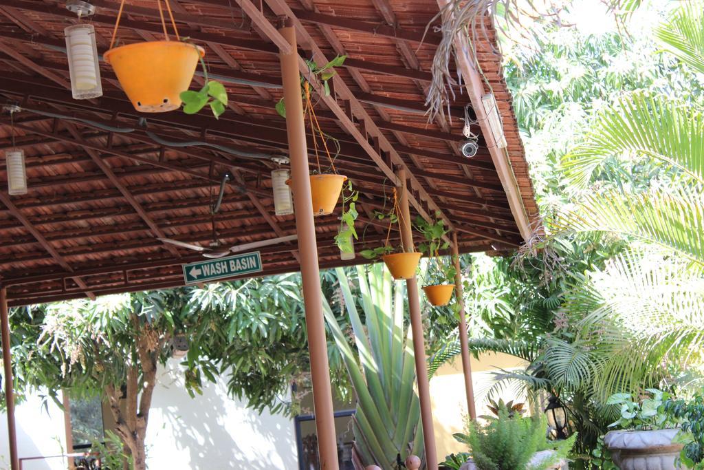 Gir Jungle Lodge Sasan Gir Exterior foto